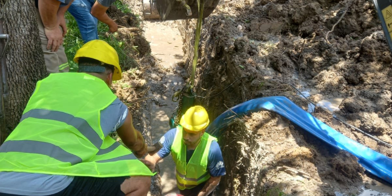 Imagen 1