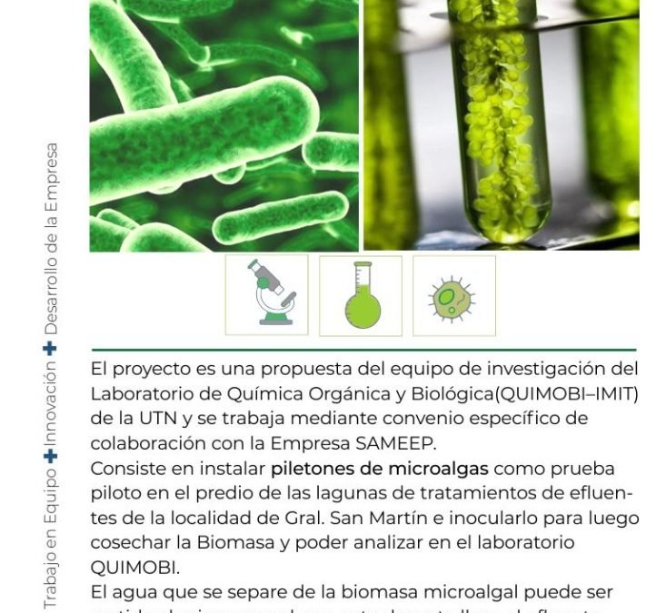 Sameep y UTN trabajarán con microalgas para la biorremediación de efluentes en San Martín